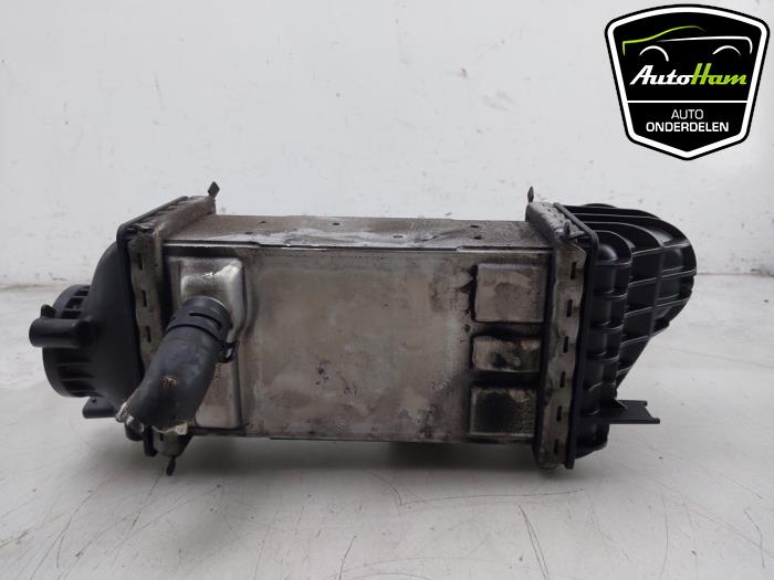 Usagé Echangeur air (Intercooler) Volkswagen Golf VIII (CD1) 1.0 TSI 12V Prix € 75,00 Règlement à la marge proposé par AutoHam