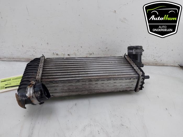 Usados Intercooler Ford Transit Connect (PJ2) 1.5 EcoBlue Precio € 60,50 IVA incluido ofrecido por AutoHam