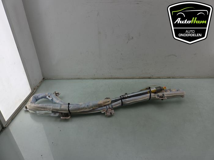 Roof airbag