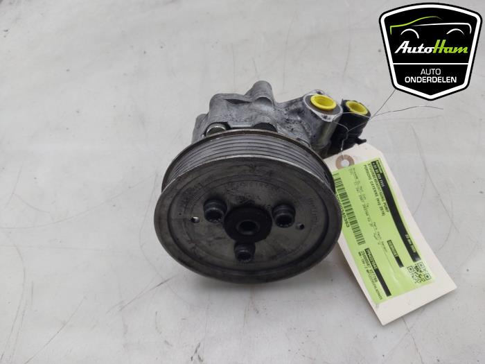 Usagé Pompe de direction Porsche Cayenne II (92A) 3.0 D V6 24V Prix € 175,00 Règlement à la marge proposé par AutoHam