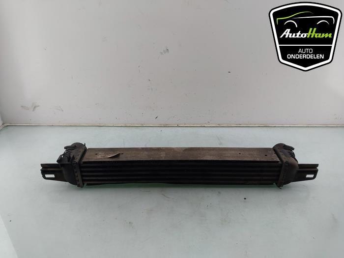 Usados Intercooler Fiat Fiorino (225) 1.3 JTD 16V Multijet Precio € 25,00 Norma de margen ofrecido por AutoHam