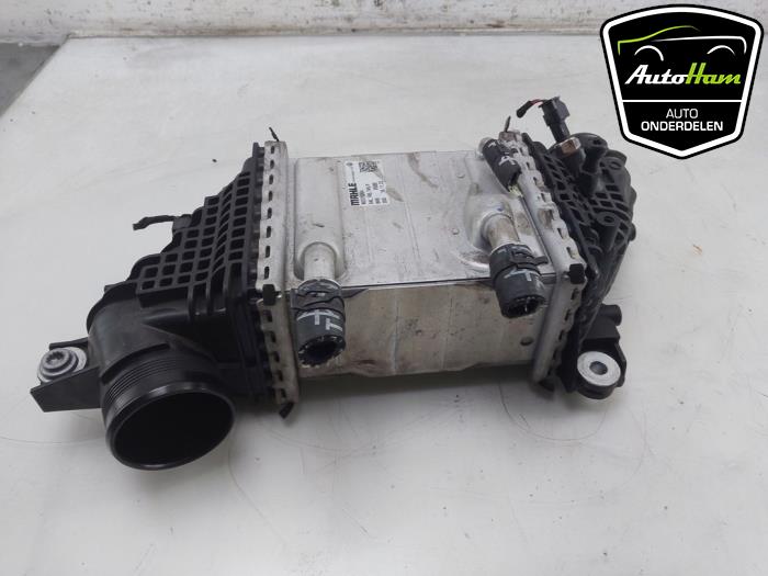 Usados Intercooler Volkswagen Transporter T6 2.0 TDI 150 Precio € 272,25 IVA incluido ofrecido por AutoHam
