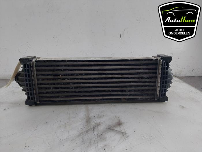 Usagé Echangeur air (Intercooler) Ford Transit Custom 2.0 TDCi 16V Eco Blue 130 Prix € 60,50 Prix TTC proposé par AutoHam
