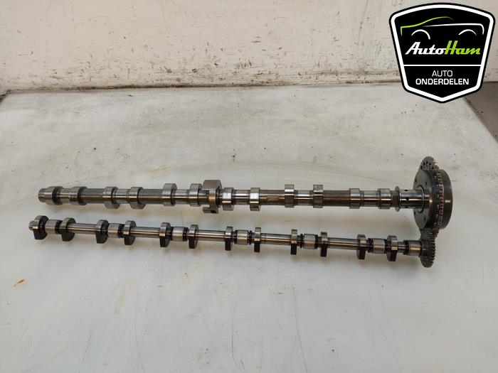 Usagé Kit arbre à cames BMW X5 (G05) xDrive 45 e iPerformance 3.0 24V Prix € 295,00 Règlement à la marge proposé par AutoHam