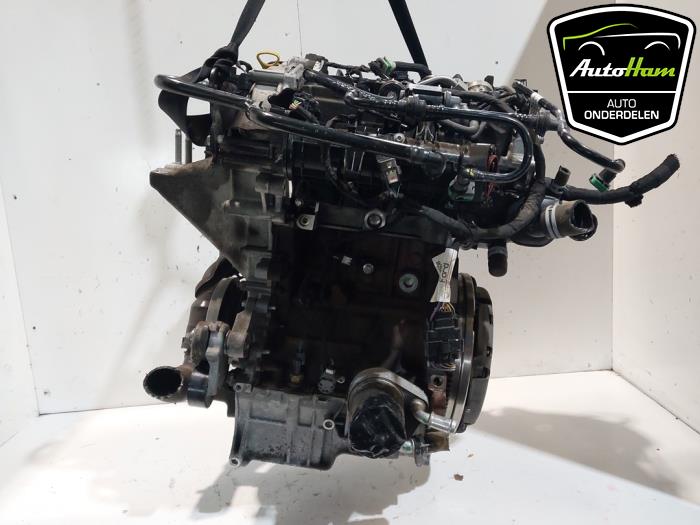 Gebrauchte Motor Ford Fiesta 7 1.0 EcoBoost 12V Hybrid 125 Preis € 2.350,00 Margenregelung angeboten von AutoHam