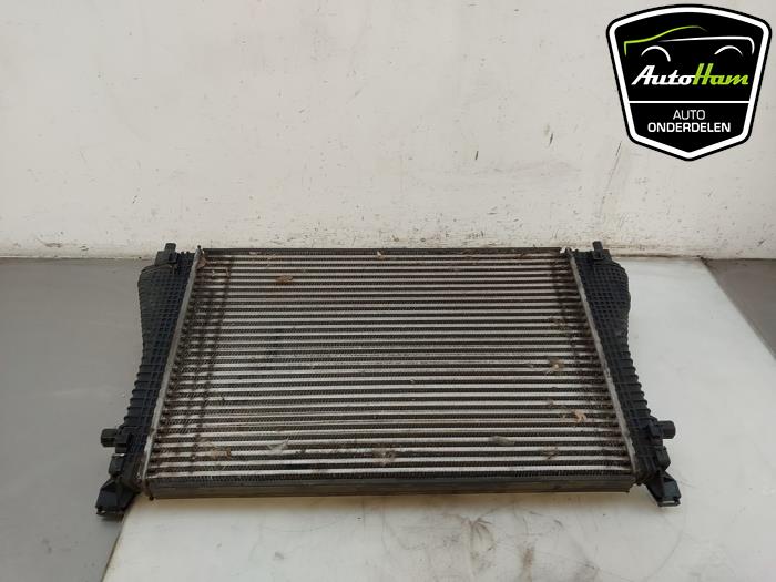 Usados Intercooler Volkswagen Golf VIII (CD1) 2.0 TSI R 16V 4Motion Precio € 115,00 Norma de margen ofrecido por AutoHam