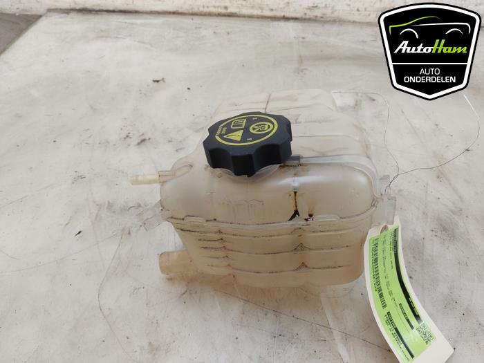 Coolant expansion tank