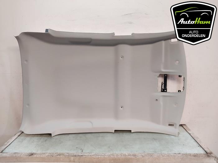 Używane Podsufitka Dacia Spring 45 Cena € 125,00 Procedura marży oferowane przez AutoHam
