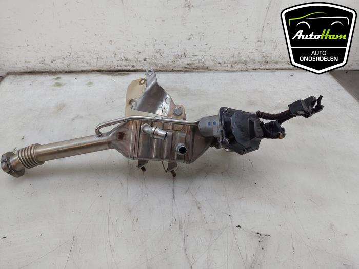 Gebrauchte AGR Ventil BMW 5 serie Touring (G31) 523d 2.0 TwinPower Turbo 16V Preis € 145,00 Margenregelung angeboten von AutoHam