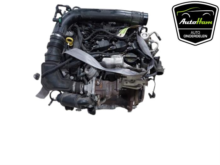 Gebrauchte Motor Ford Fiesta 6 (JA8) 1.0 EcoBoost 12V 100 Preis € 1.950,00 Margenregelung angeboten von AutoHam