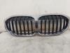 BMW 1 serie (F40) 118i 1.5 TwinPower 12V Calandre