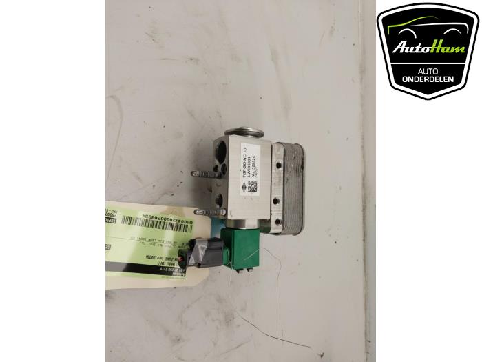 Usagé Valve d'expansion clim Nissan Juke (F16) 1.6 Hybrid 16V Prix € 40,00 Règlement à la marge proposé par AutoHam