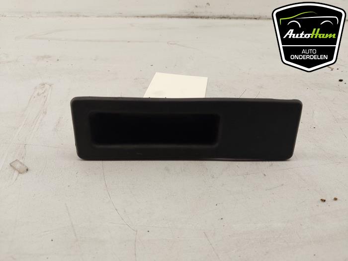 Tailgate exterior handle