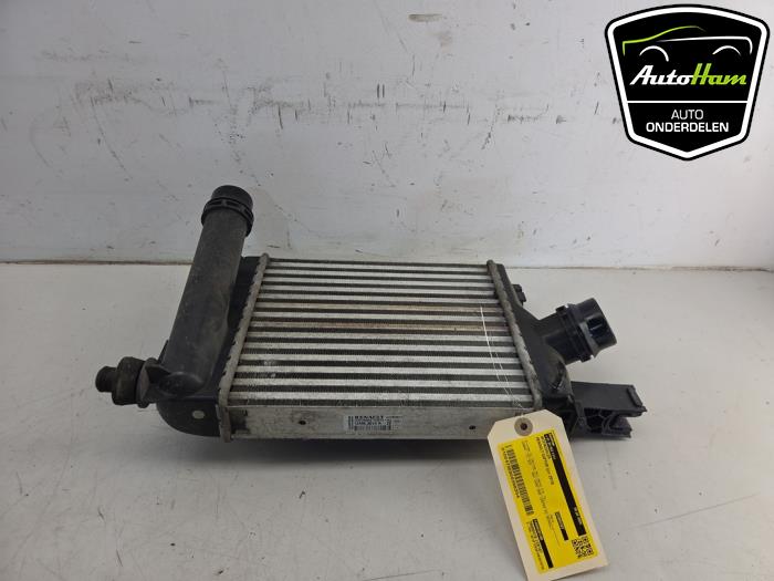 Usagé Intercooler Renault Captur I (2R) 0.9 Energy TCE 12V Prix € 50,00 Règlement à la marge proposé par AutoHam