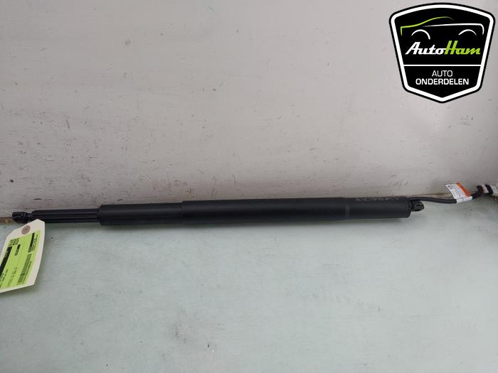 Używane Silnik tylnej klapy BMW 3 serie Touring (G21) 318i 2.0 TwinPower Turbo 16V Cena € 75,00 Procedura marży oferowane przez AutoHam