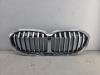 BMW 1 serie (F40) 118i 1.5 TwinPower 12V Calandre