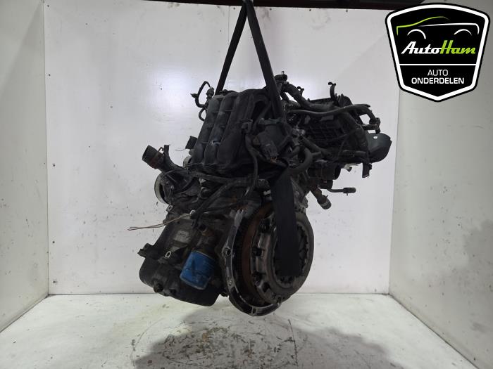 Engine Kia Picanto (TA), 2011 / 2017 1.0 12V, Hatchback, Petrol, 998cc, 49kW (67pk), FWD, G3LA, 2011-05 / 2017-03, TAF4P1; TAF4P2; TAF4P5; TAF4P6; TAF5P1; TAF5P2; TAF5P5; TAF5P6 (Used)