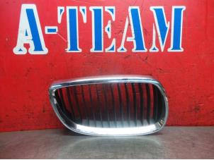 Used Grille BMW 3 serie (E90) 320i 16V Price € 14,99 Margin scheme offered by A-Team Automotive Rotterdam