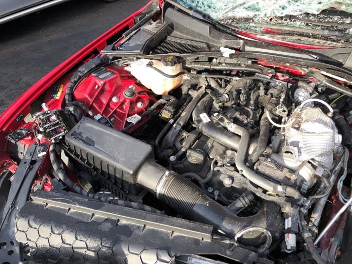Gebrauchte Motor Alfa Romeo Giulia (952) 2.0 T 16V Preis € 6.500,00 Margenregelung angeboten von A-Team Automotive