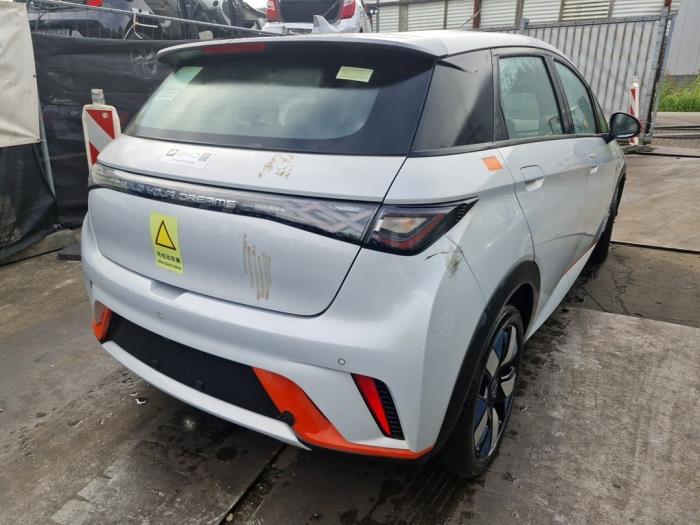 Używane Akumulator (Hybryda) BYD Dolphin 60,4 kWh Cena € 7.999,99 Procedura marży oferowane przez A-Team Automotive