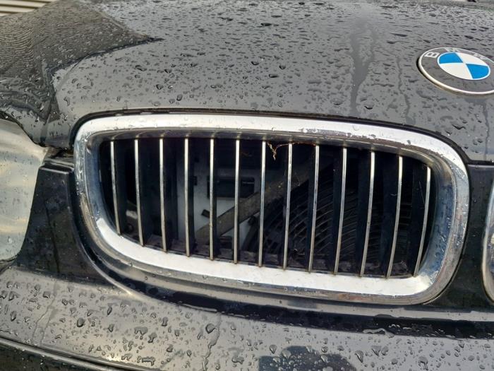 Używane Grill BMW 7 serie (E65/E66/E67) 745i,Li 4.4 V8 32V Cena € 99,99 Procedura marży oferowane przez A-Team Automotive