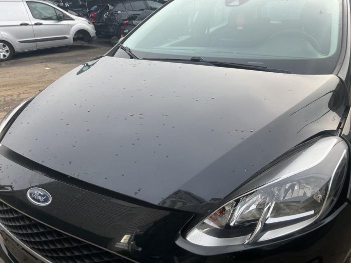 Używane Maska Ford Fiesta 7 1.1 Ti-VCT 12V 85 Cena € 299,99 Procedura marży oferowane przez A-Team Automotive
