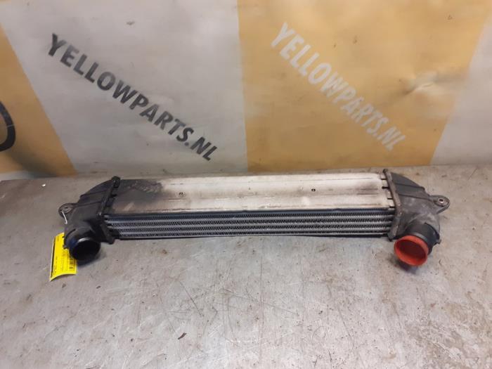 Usados Intercooler Fiat Doblo Cargo (223) 1.3 D 16V Multijet DPF Precio € 49,00 Norma de margen ofrecido por Yellow Parts