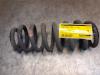 Suzuki Grand Vitara II (JT) 2.0 16V Schraubenfeder hinten