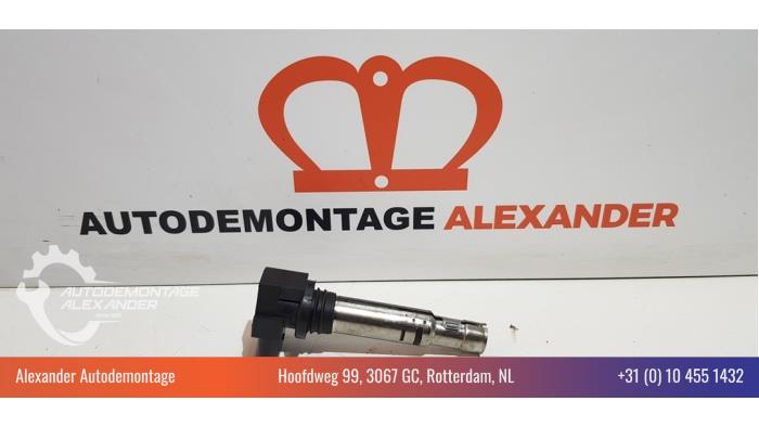 Gebrauchte Stift Zündspule Volkswagen Polo V (6R) 1.2 12V Preis € 10,00 Margenregelung angeboten von Alexander Autodemontage
