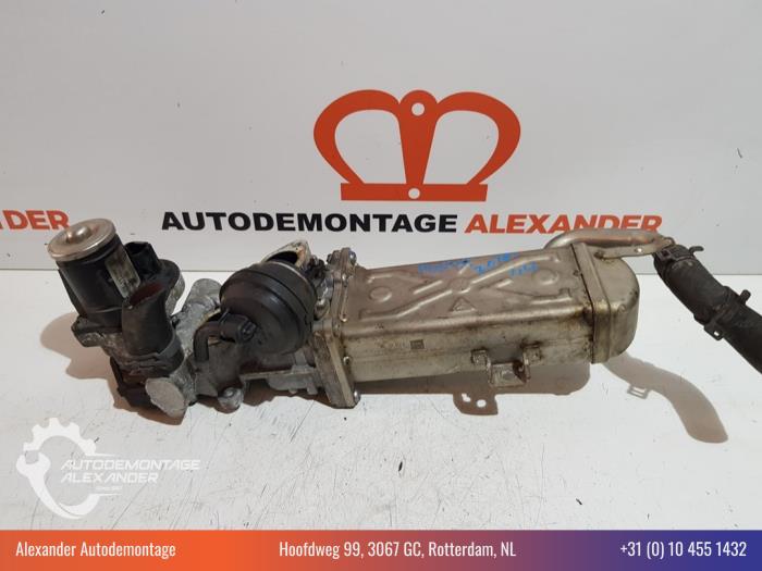 Usagé Refroidisseur RGE Volkswagen Passat Variant (365) 2.0 TDI 16V 135 Prix € 50,00 Règlement à la marge proposé par Alexander Autodemontage