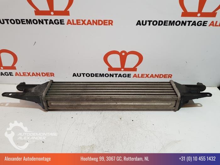 Usados Intercooler Fiat Punto Evo (199) 1.3 JTD Multijet Evo 85 16V Euro 5 Precio € 50,00 Norma de margen ofrecido por Alexander Autodemontage