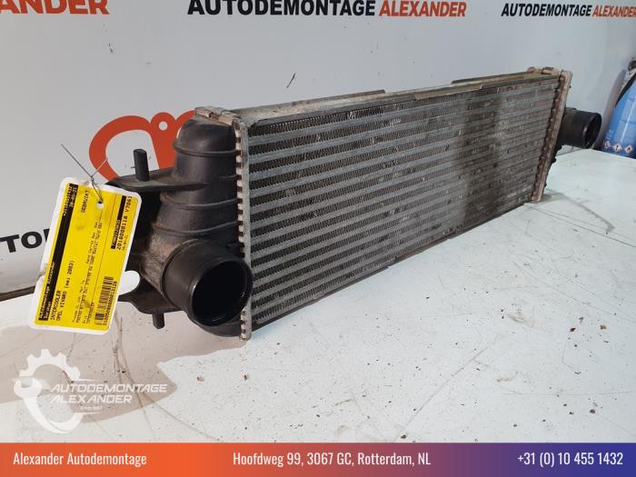Usados Intercooler Opel Vivaro 1.9 DTI 16V Precio € 19,99 Norma de margen ofrecido por Alexander Autodemontage