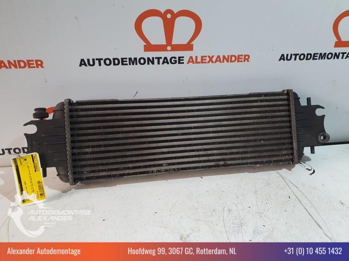 Usados Intercooler Opel Vivaro 2.0 CDTI Precio € 19,99 Norma de margen ofrecido por Alexander Autodemontage