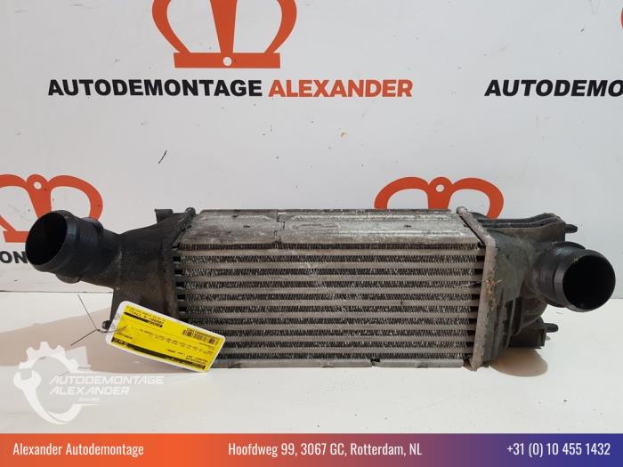 Usagé Intercooler Peugeot 407 SW (6E) 2.0 HDiF 16V Prix € 24,99 Règlement à la marge proposé par Alexander Autodemontage