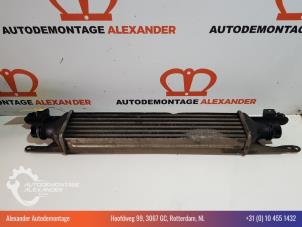 Used Intercooler Opel Corsa D 1.3 CDTi 16V ecoFLEX Price € 40,00 Margin scheme offered by Alexander Autodemontage