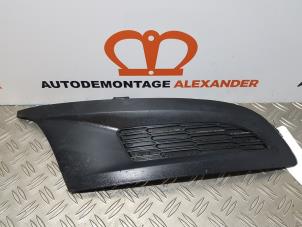 Gebrauchte Stoßstangenrost Volkswagen Polo V (6R) 1.6 TDI 16V 90 Preis € 20,00 Margenregelung angeboten von Alexander Autodemontage