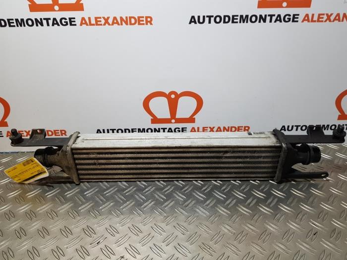 Usados Intercooler Opel Corsa D 1.3 CDTi 16V ecoFLEX Precio € 29,99 Norma de margen ofrecido por Alexander Autodemontage