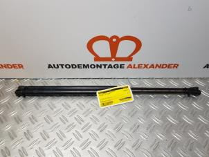 Usados Juego de amortiguadores de gas del portón trasero Peugeot 107 1.0 12V Precio € 35,00 Norma de margen ofrecido por Alexander Autodemontage