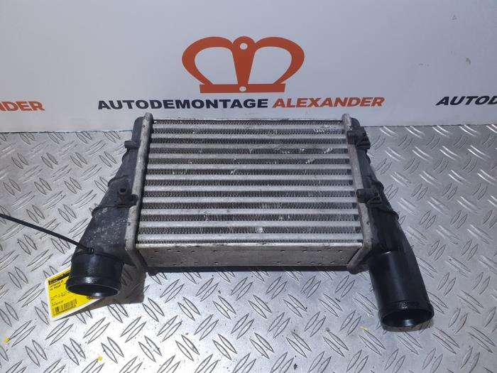 Intercooler radiator