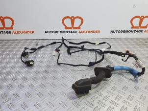 Used Wiring harness Hyundai i10 (B5) 1.2 16V Price on request offered by Alexander Autodemontage