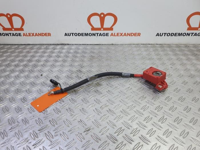 Używane Biegun akumulator BMW X5 (E70) 3.0sd 24V Cena € 50,00 Procedura marży oferowane przez Alexander Autodemontage