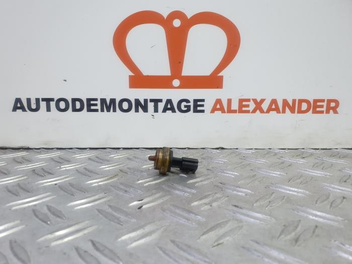 Gebrauchte Kühler Temperatursensor Renault Trafic New (FL) 2.5 dCi 16V 115 FAP Preis auf Anfrage angeboten von Alexander Autodemontage