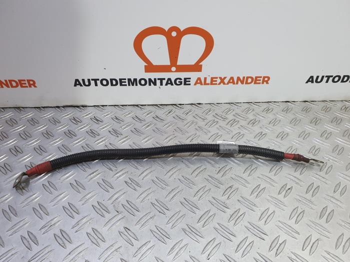 Używane Kabel (rózne) BMW X5 (E53) 3.0i 24V Cena na żądanie oferowane przez Alexander Autodemontage