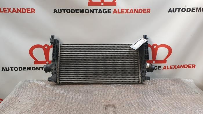 Usagé Intercooler Opel Astra J (PC6/PD6/PE6/PF6) 1.6 Turbo 16V Prix € 29,99 Règlement à la marge proposé par Alexander Autodemontage