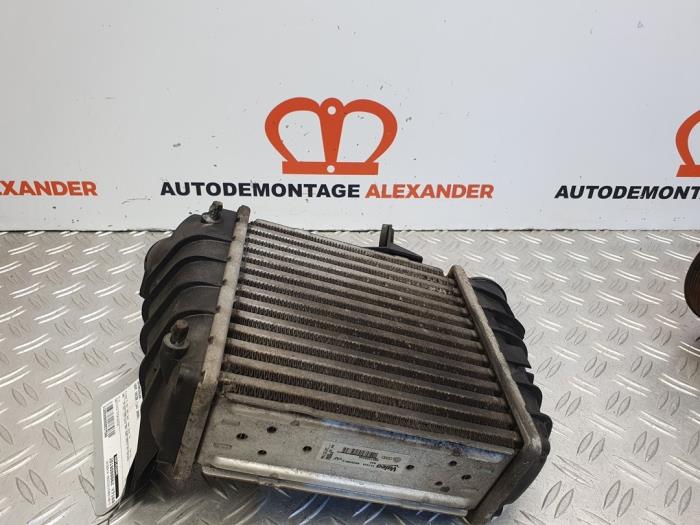 Usados Intercooler Seat Ibiza IV (6J5) 1.4 TDI Precio € 24,99 Norma de margen ofrecido por Alexander Autodemontage