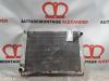 Radiator from a Renault Clio III (BR/CR), 2005 / 2014 1.4 16V, Hatchback, Petrol, 1.390cc, 72kW (98pk), FWD, K4J780, 2005-06 / 2012-12, BR0A; BR1A; CR0A; CR1A; BRCA; CRCA 2007