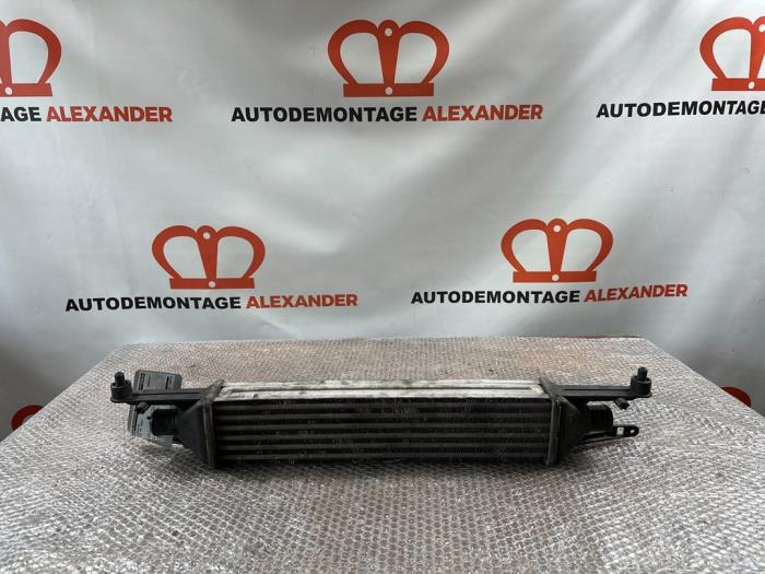 Usados Intercooler BMW Mini (R50/53) 1.6 16V One Precio € 34,99 Norma de margen ofrecido por Alexander Autodemontage