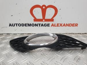Used Fog light cover plate, right Mercedes E (W211) 2.2 E-200 CDI 16V Price on request offered by Alexander Autodemontage
