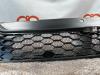 Grille from a Iveco New Daily V 29L13, 29L13D, 35C13D, 40C13D 2014
