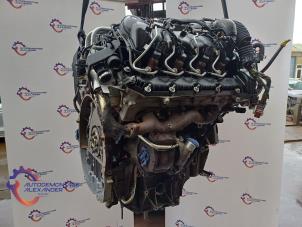 Used Engine Landrover Range Rover Sport (LS) 3.6 TDV8 32V Price € 3.000,00 Margin scheme offered by Alexander Autodemontage